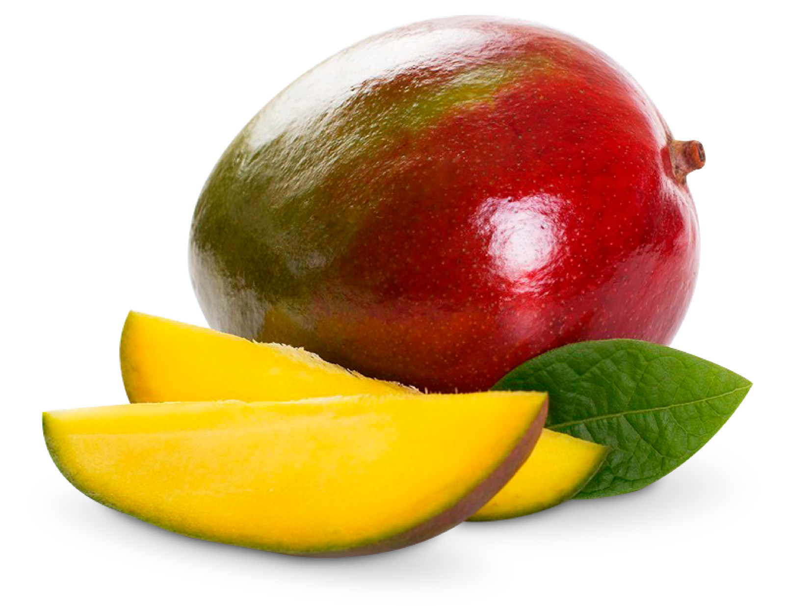 Mango Tommy Atkins
